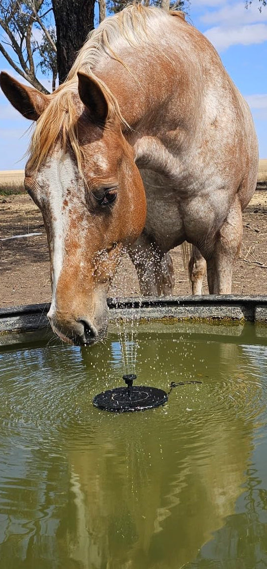 5 Reasons a Solar Fountain Will Transform Your Garden This Summer!