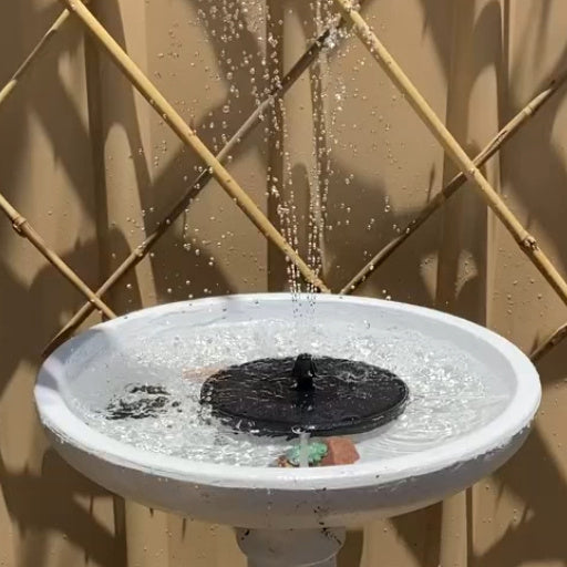 Fountain Real Life